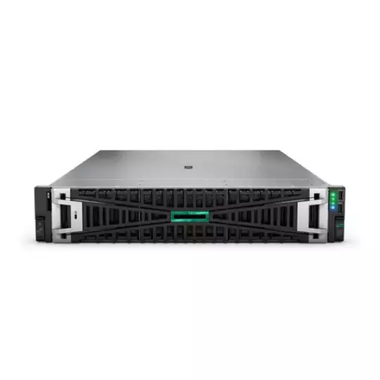 HPE DL380 Gen11 4510 64GB 2x960GB SSD 2U Sunucu P71674