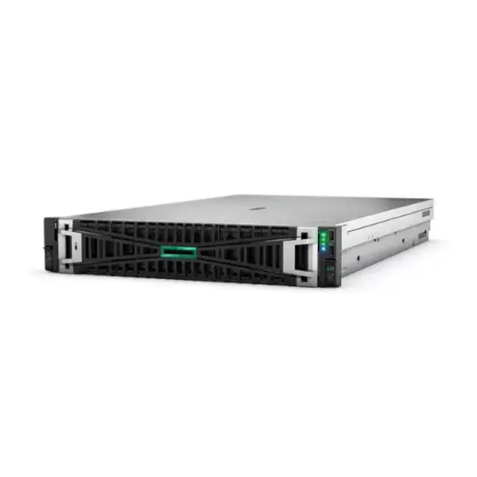 HPE DL380 Gen11 4510 64GB 2x960GB SSD 2U Sunucu P71674 - 2